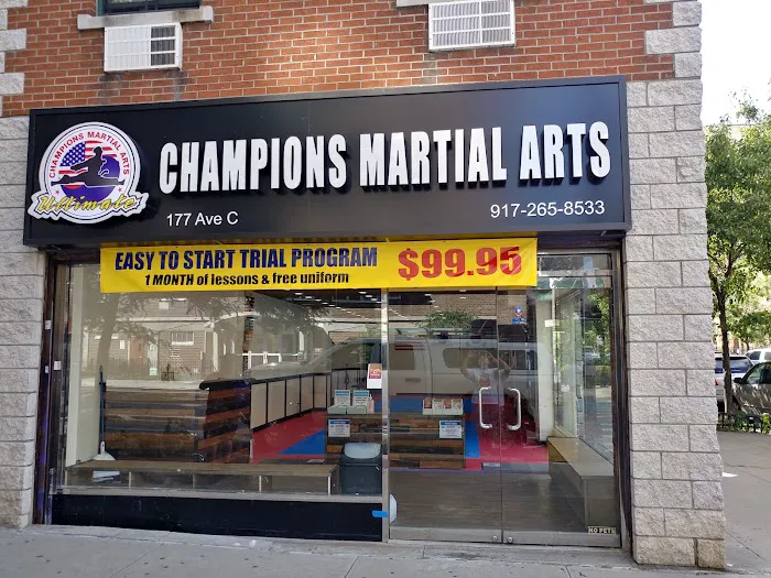 Champions Martial Arts Avenue C Picture 2
