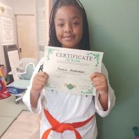 Premier Martial Arts Brooklyn Heights ico