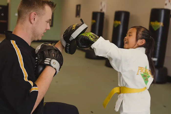 Premier Martial Arts Brooklyn Heights Picture 7