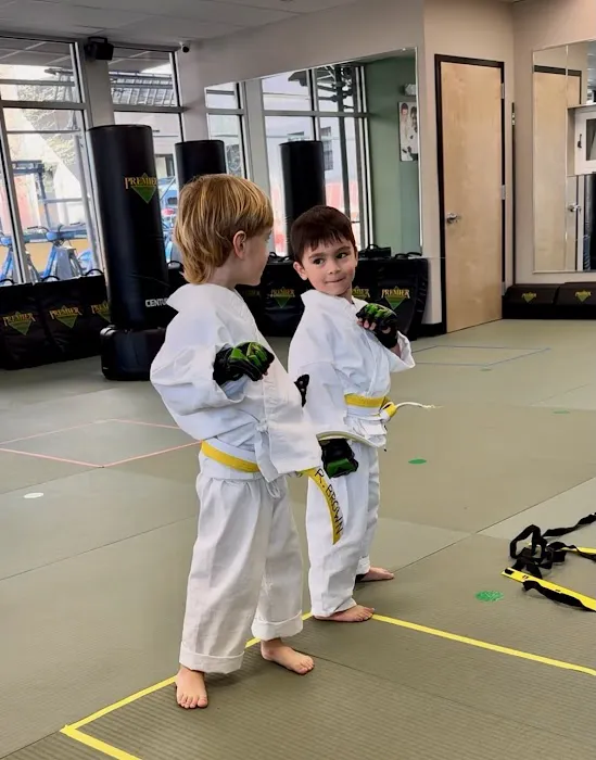 Premier Martial Arts Brooklyn Heights Picture 5