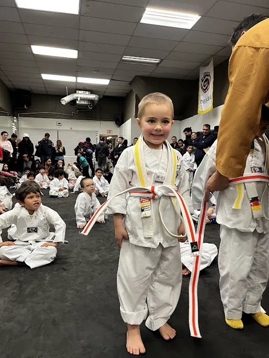 JC Taekwondo and Kickboxing Academy Picture 2