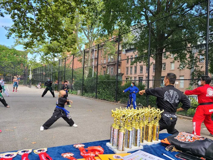 Champions Martial Arts Carroll Gardens Picture 10
