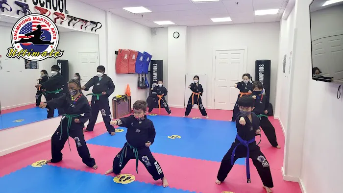 Champions Martial Arts Picture 5