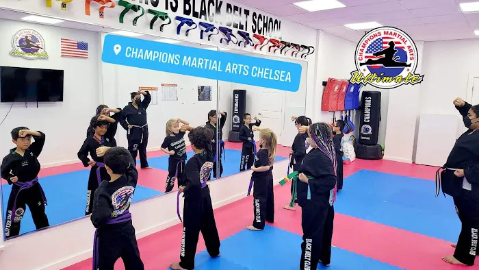 Champions Martial Arts Picture 4