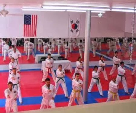 Yang Taekwondo