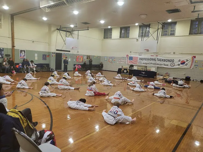 Professional Martial arts Taekwondo Center Picture 2