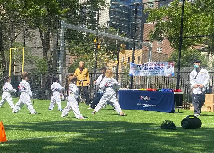 Professional Martial arts Taekwondo Center Picture 5