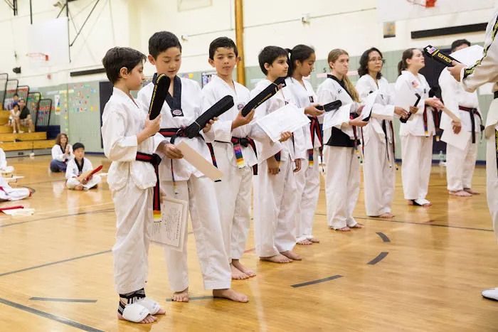 Professional Martial arts Taekwondo Center Picture 6