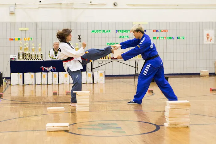 Professional Martial arts Taekwondo Center Picture 8