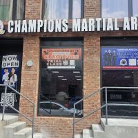 Champions Martial Arts Domino Park ico