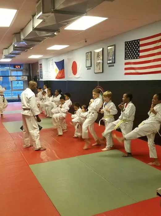 Brooklyn Martial Arts Picture 6