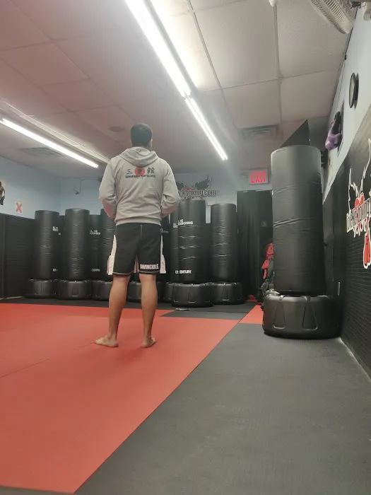 Brooklyn Martial Arts Picture 8