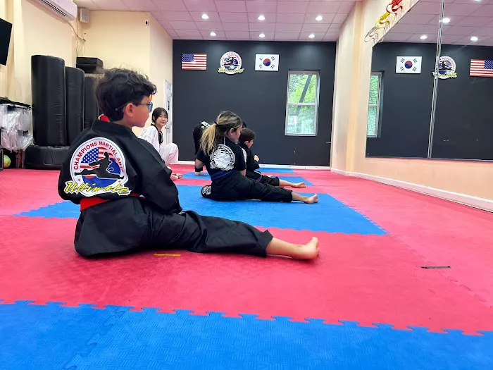 Champions Martial Arts Park Slope Picture 1