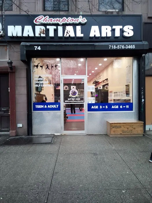 Champions Martial Arts Park Slope Picture 4