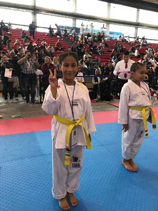 Champions Martial Arts Williamsburg Picture 7