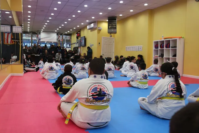Champions Martial Arts Williamsburg Picture 9