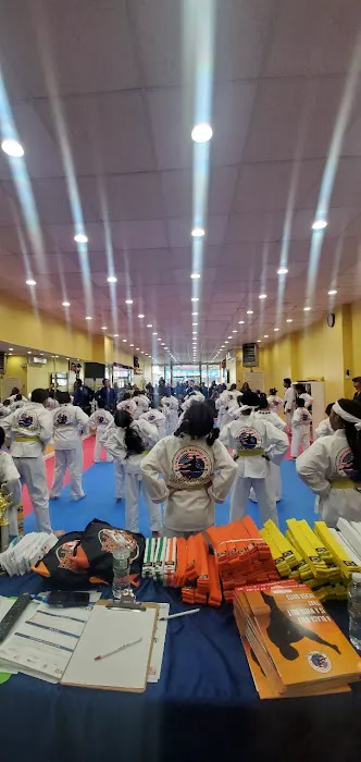 Champions Martial Arts Williamsburg Picture 10
