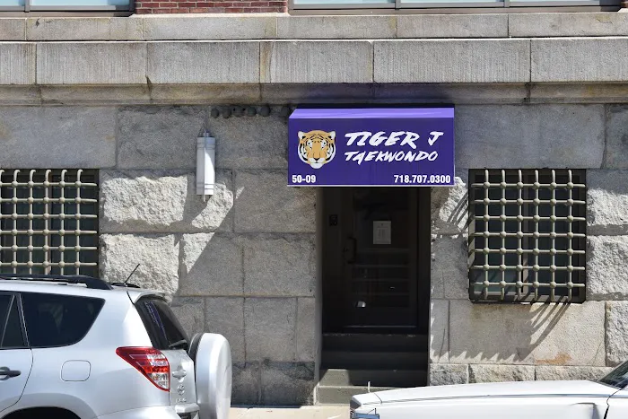 Tiger J Taekwondo Picture 2