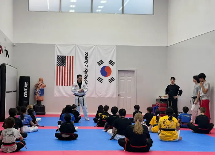Tiger J Taekwondo Picture 1