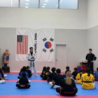 Tiger J Taekwondo ico