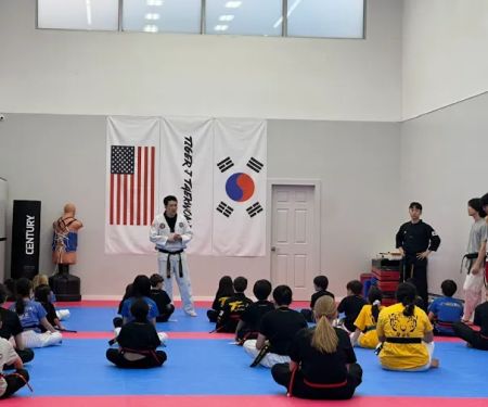 Tiger J Taekwondo