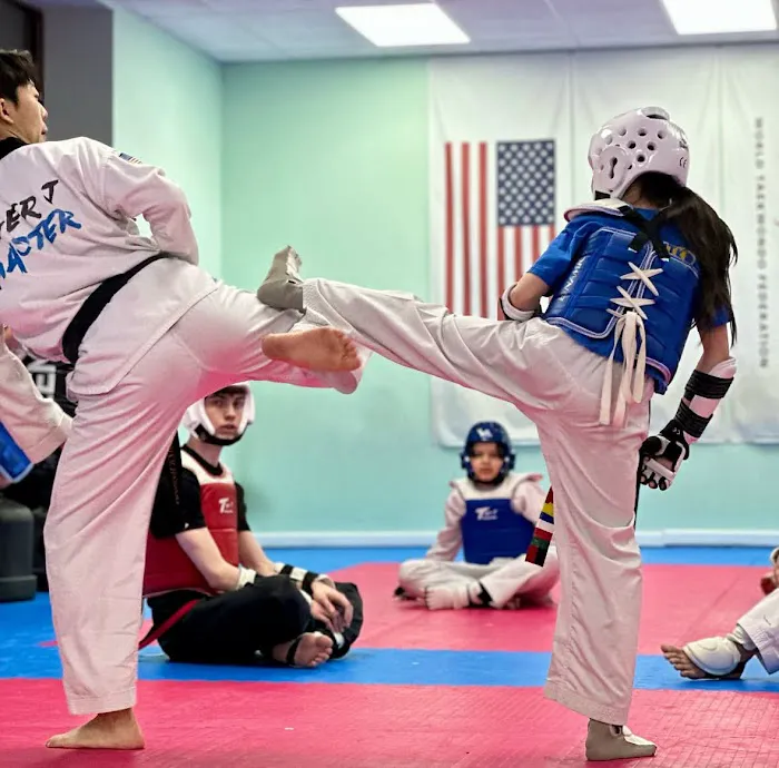 Tiger J Taekwondo Picture 4