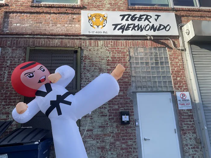 Tiger J Taekwondo Picture 6