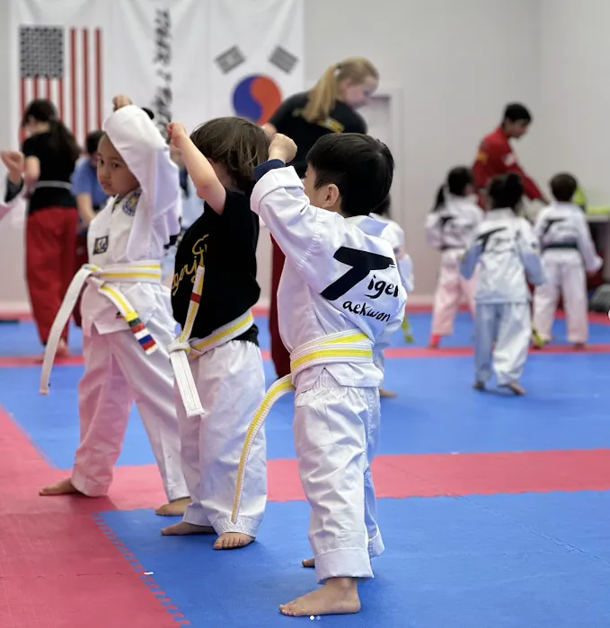 Tiger J Taekwondo Picture 9