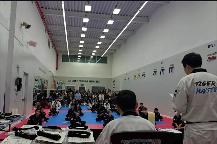 Tiger J Taekwondo Picture 8