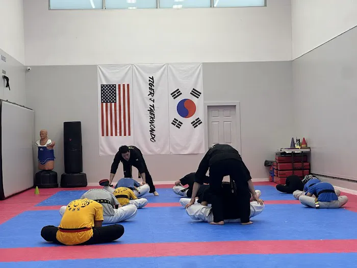 Tiger J Taekwondo Picture 7