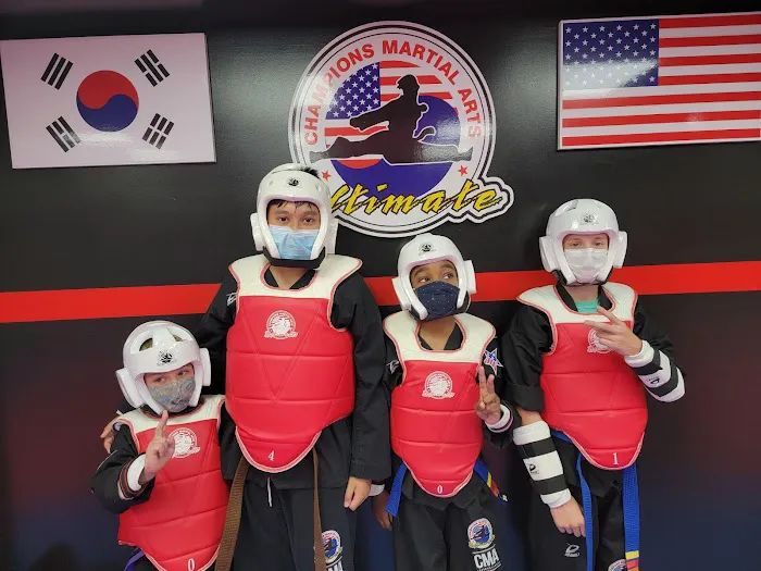 Champions Martial Arts Lenox Hill Picture 7