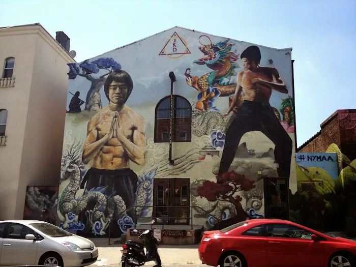 NY Martial Arts Academy Brooklyn Picture 8