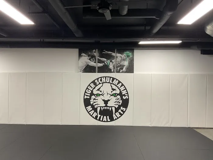 Tiger Schulmann's Martial Arts (Jersey City, NJ) Picture 1