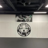 Tiger Schulmann's Martial Arts (Jersey City, NJ) ico