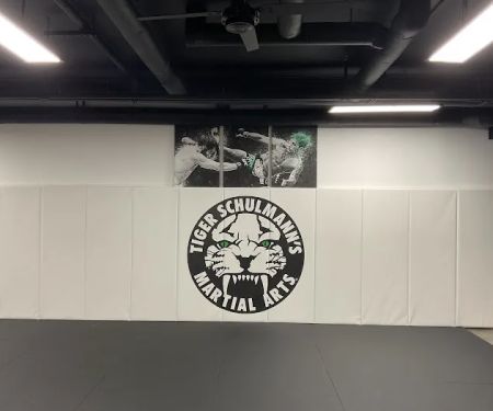 Tiger Schulmann's Martial Arts (Jersey City, NJ)