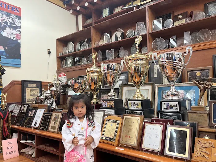 Jang Star Taekwondo School Picture 8