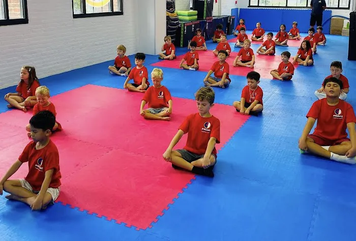Prime Taekwondo Picture 1
