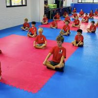 Prime Taekwondo ico