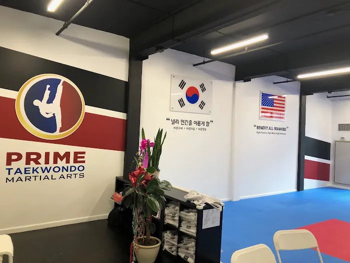 Prime Taekwondo Picture 5