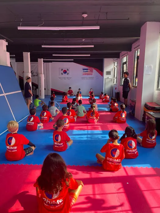 Prime Taekwondo Picture 7