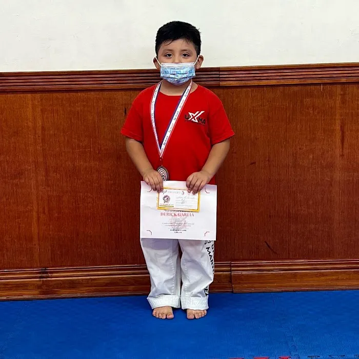 United Tae Kwon Do Center Picture 7