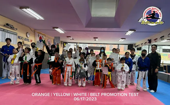 Champions Martial Arts Sunset Park Picture 4