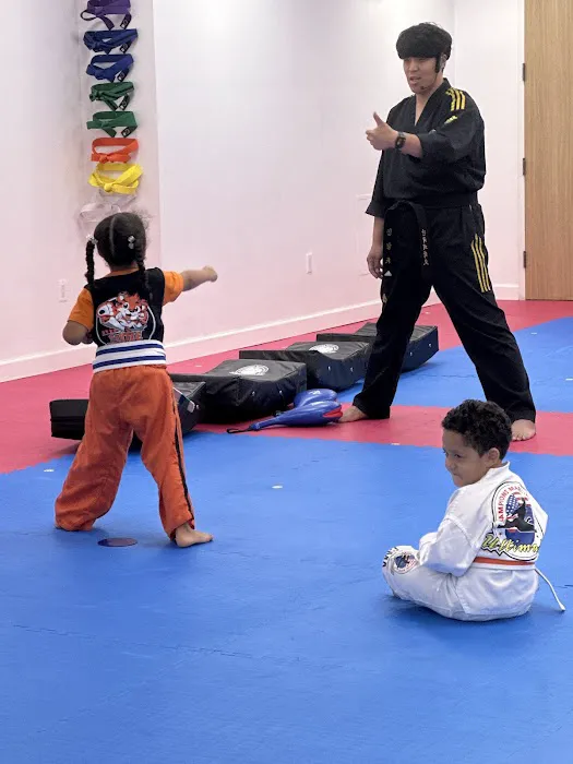Champions Martial Arts Hell's Kitchen Picture 2