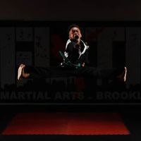 Elite Martial Arts of Brooklyn ico