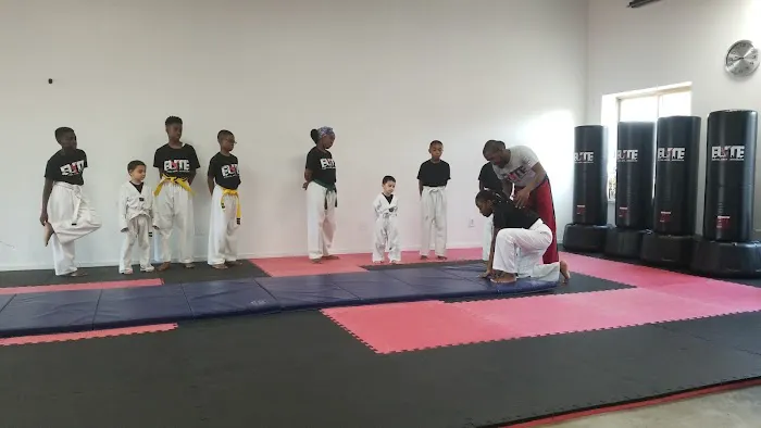 Elite Martial Arts of Brooklyn Picture 5