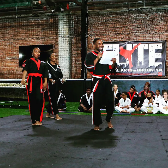 Elite Martial Arts of Brooklyn Picture 8