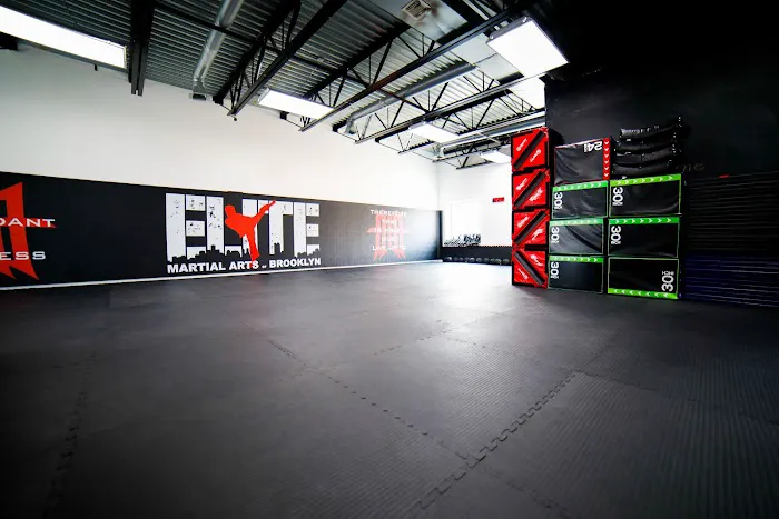 Elite Martial Arts of Brooklyn Picture 7