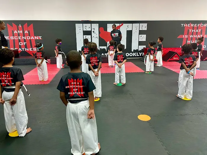 Elite Martial Arts of Brooklyn Picture 9