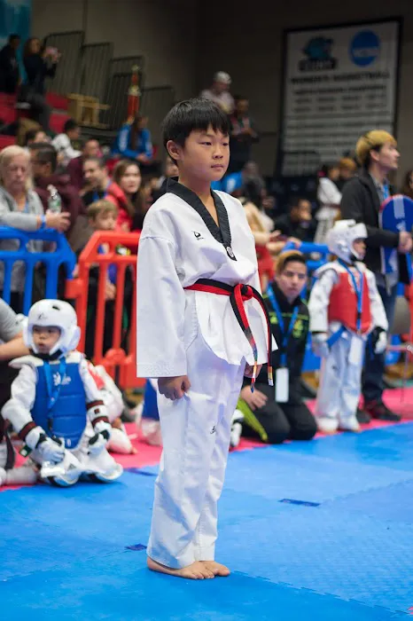 New York State Taekwondo Association Picture 2