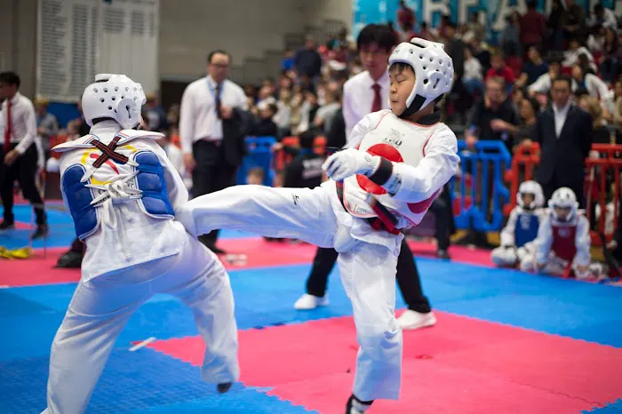 New York State Taekwondo Association Picture 4